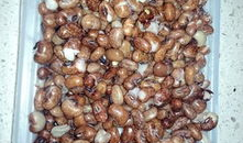 麻豆做法,解锁时尚穿搭与造型艺术